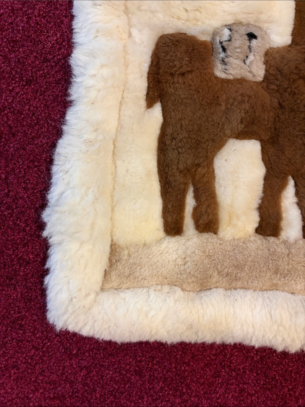 Brown Llama Sheepskin Rug - Cream Border - Picture 4 of 12